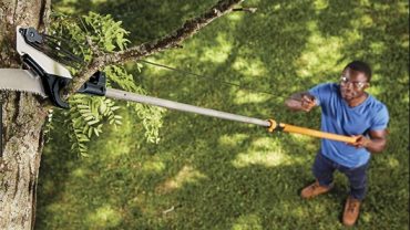 Best Pole Saw