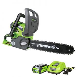 Greenworks 12-Inch 40V Cordless Chainsaw